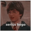 Harry Potter Indonesia 17