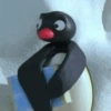 Pinguino nojado 17