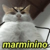 MEMES QUE VOCÊ VAI PRECISAR🤣 8
