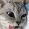 ❤️🐱Michitos reacciones🐱❤️ 13