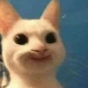 😎 Gatitos pa chatear 😎 9