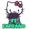 🎀Hello Kitty|Ramo Buchón💐 7