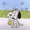 Snoopy  28
