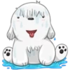 Perrito de Facebook🐶💙  29