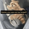 Memes 27 27