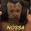 Macacos só reações 🤣🙈 6