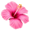 Emoji iPhone Pink 6