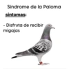 👉 PARA LA MIGAJERA 🕊️ 11