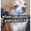 *Pensamientos panaderos⭑