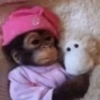 Macaquinhos 🐒 9