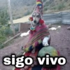 sigo vivo