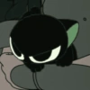 Gatito. | @ocenferios  Haki. 12