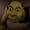 🏰🟢 SHREK MOODS 🟢🏰 21