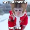 🐒 Macaco Engraçado  14