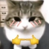 Gatos shit 🐈‍⬛❤️ 6