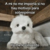 💥Chat Meme Collection💎🔝 2 11