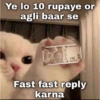 Cattiesays 😺🐈 22