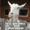 Idul Adha Meme 11