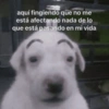 💥Chat Meme Collection💎🔝 2 13