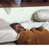 Monky moods 4