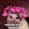 Günaydın 22