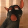 Ratatouille moods 🐀👨‍🍳 11