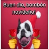 Buen día, bombón navideño!