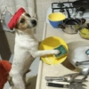 Dogs. | @ocenferios  Haki. 8