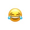 Emoji iPhone  13