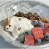 Cats (2/4) 28