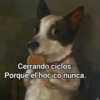 Memes Sin Sentido🥴🫧  22