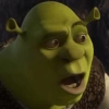 🏰🟢 SHREK MOODS 🟢🏰 13
