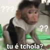 🐒 Macaco Engraçado  15