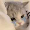 Triste 5