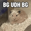 BG UDH BG
