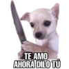 Perritos 6