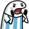 Flork Argentina-Mundial 2026🇦🇷✨ 10