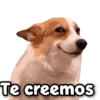 ecisectove Stickers Te creemos
