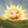 Funny cat 🐈🐈 6