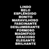 LINDO BELO ESPLENDIDO BONITO MARAVILHOSO FASCINANTE DESLUMBRANTE FORMOSO MAGNÍFICO GRACIOSO ELEGANTE BRILHANTE