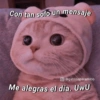 Bts corazones 17