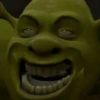 🏰🟢 SHREK MOODS 🟢🏰 23