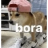 bora