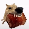 Memes de cachorro 13