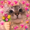 ✨️💖🐱 AMOR | GATOS 🐱💖✨️ 8