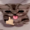 Nooo 6