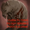 Lobo solirario 🐺 | meme 13
