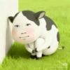 Sion Cow Meme Sapi 11