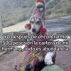 🍃🐶🧿 Perro Chamán 🧿🐶🍃 20
