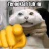 Tengoklah tuh HA